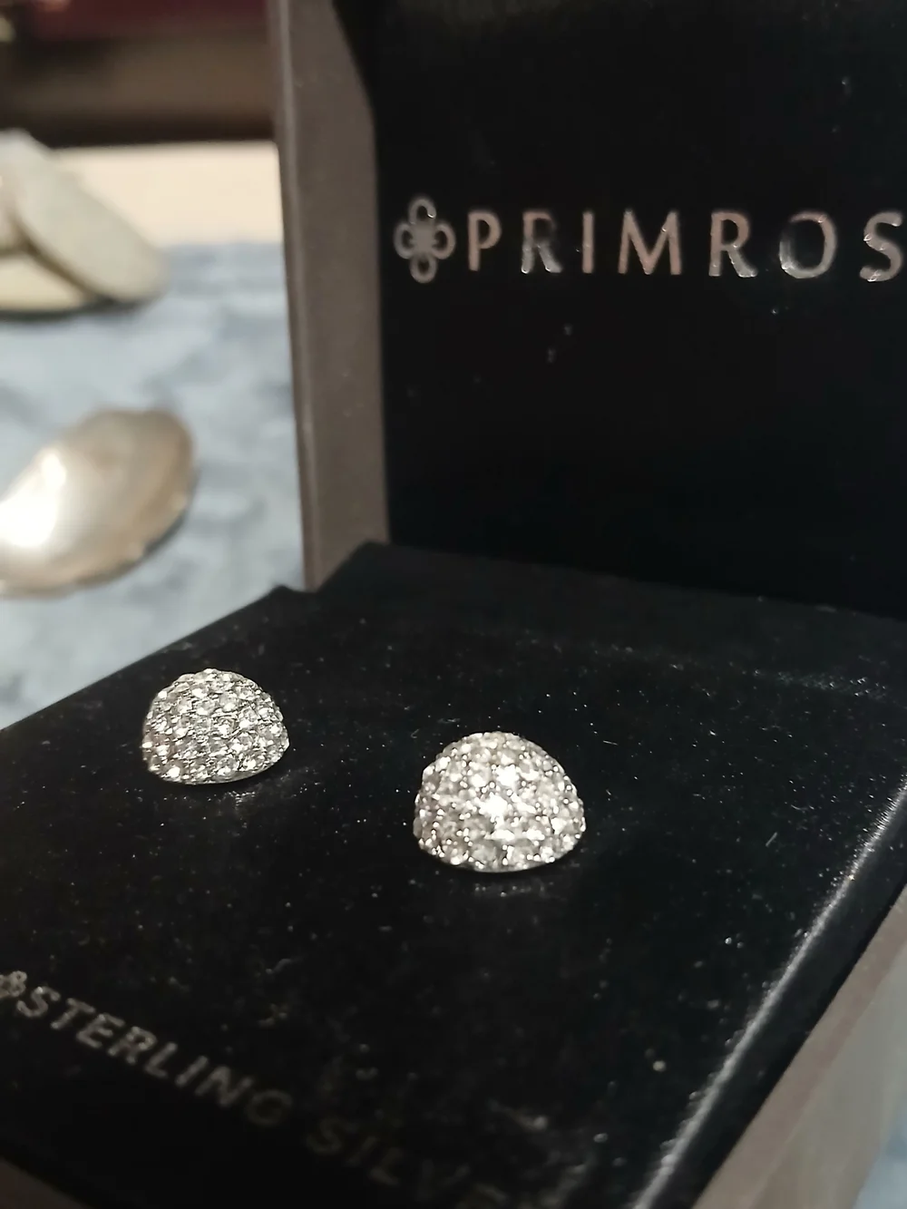 Primrose Sterling Silver Cubic Zirconia Pavé Stud Earrings - Silver